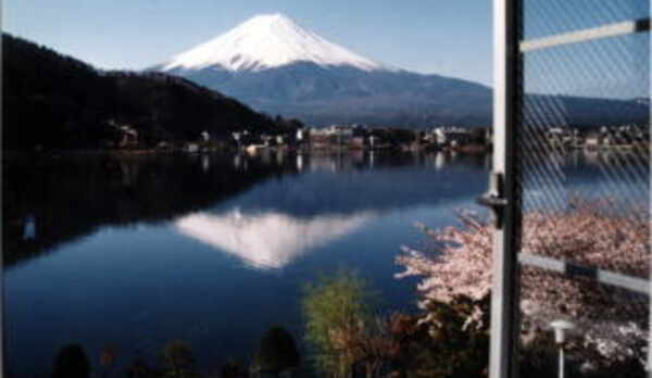 お部屋からの冨士
