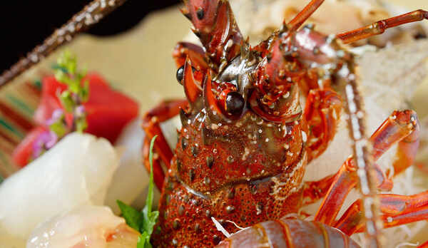 ・【伊勢海老お造り】見た目も豪華で写真映えする逸品