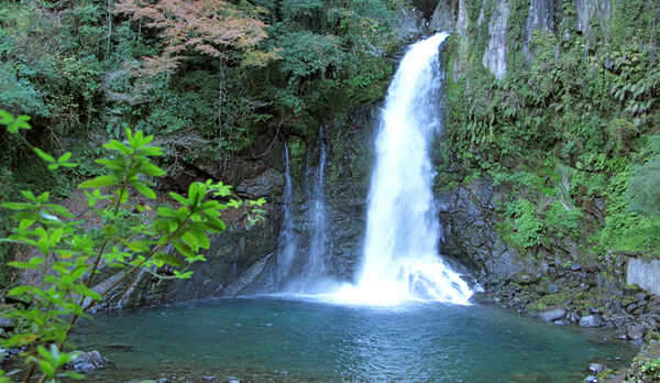 ◆伊豆で最大級の『大滝』を見ながら入れる露天風呂。これだけの滝を間近に見ながら入るお風呂はここだけ