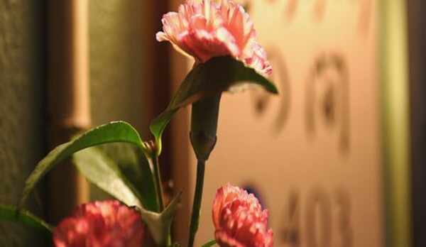 秀花園　湯の花膳のお部屋へどうぞ