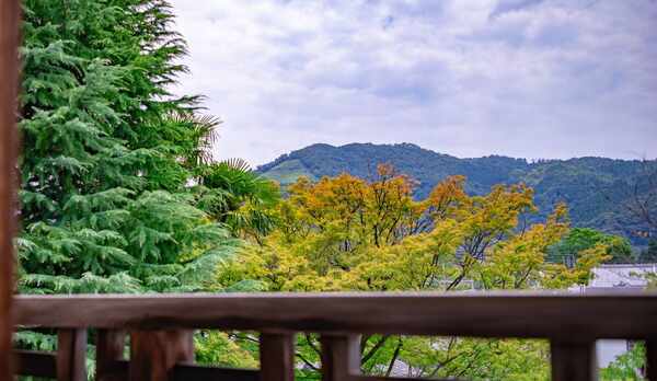 テラス / パティオ