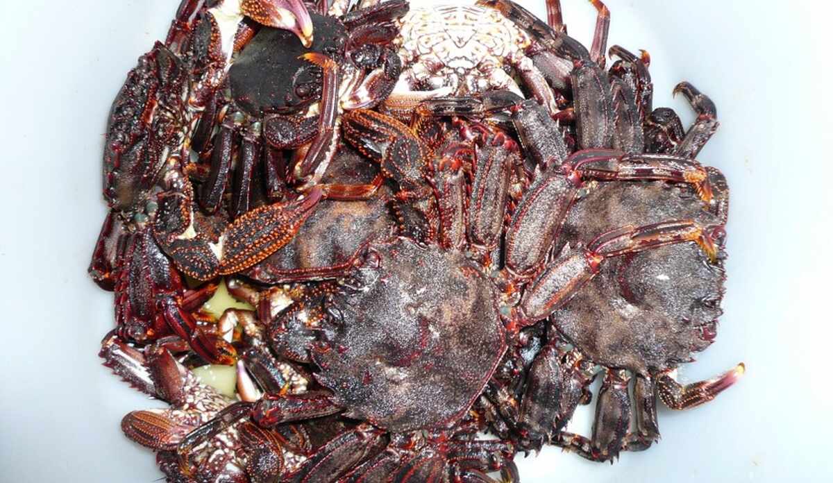 下田の民宿 宿泊予約 価格 Com