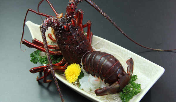 料理一例　伊勢海老のお造り　　　　