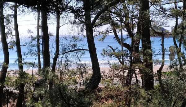 2021『月』バルコニーより