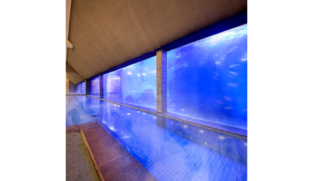 海底温泉「お魚風呂」４