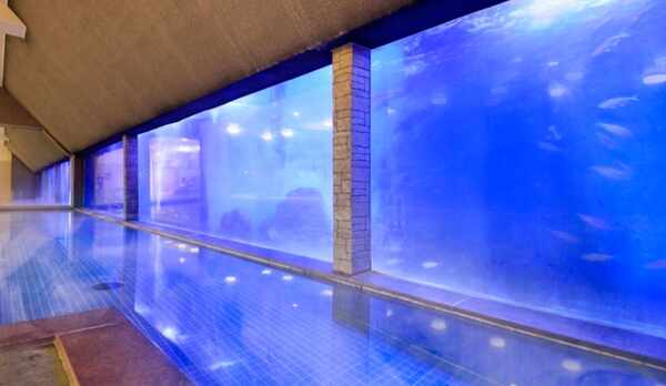 海底温泉「お魚風呂」４